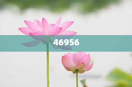 新奧集團(tuán)，邁向2025，天天開好彩的愿景與挑戰(zhàn)，新奧集團(tuán)邁向2025，實(shí)現(xiàn)天天開好彩的愿景與挑戰(zhàn)