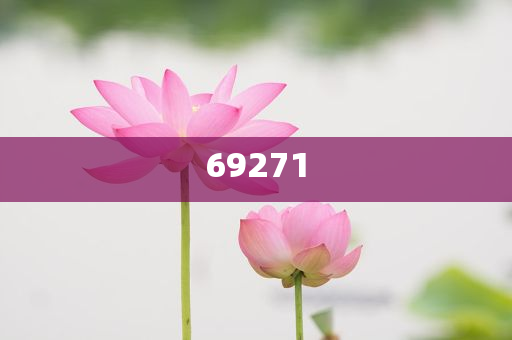 新澳今晚9點(diǎn)30分的精彩瞬間與背后故事揭秘，新澳之夜，精彩瞬間與幕后揭秘 9點(diǎn)30分的震撼時(shí)刻