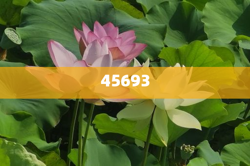 全新升級，7777888888精準(zhǔn)新管家，全新升級管家，精準(zhǔn)管理，一站式服務(wù) 7777888888新管家重磅來襲