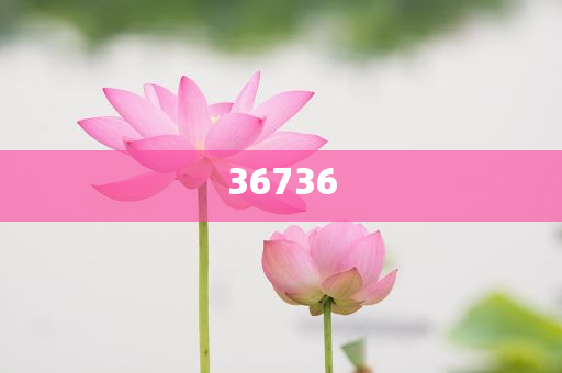 揭秘精準(zhǔn)新傳秘籍，7777788888免費策略與SEO優(yōu)化，揭秘精準(zhǔn)新傳秘籍，免費策略與SEO優(yōu)化指南