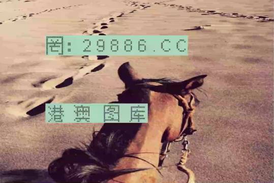 香港特馬資料王中王，揭秘背后的秘密，揭秘香港特馬資料王中王的背后秘密
