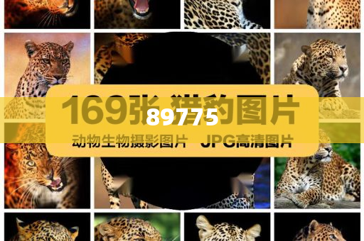 關(guān)于新奧歷史開獎(jiǎng)記錄的最新信息，今天公布了嗎？，新奧歷史開獎(jiǎng)記錄最新信息公布了嗎？