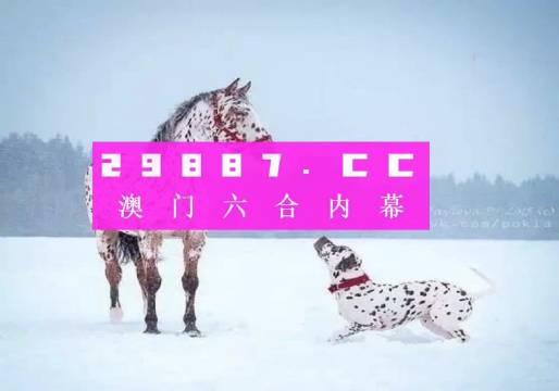 澳門一肖一碼狀元紅，揭秘彩票背后的秘密與策略，澳門彩票揭秘，狀元紅背后的秘密與策略解析