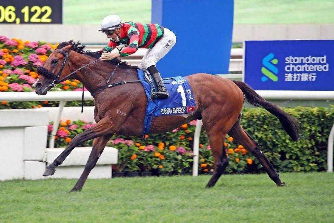 香港馬賽事，探索數(shù)字背后的激情與榮耀 7777788888，香港馬賽事，數(shù)字背后的激情與榮耀