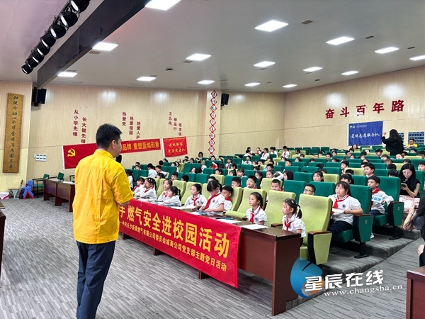 新奧49正版資料，探索與解析，新奧49正版資料深度探索與解析