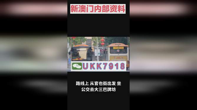 揭秘澳門今晚開獎(jiǎng)號(hào)碼，預(yù)測(cè)與策略走向，澳門今晚開獎(jiǎng)號(hào)碼揭秘與預(yù)測(cè)策略走向探討