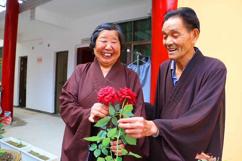 揭秘最準一碼一肖，揭秘背后的秘密與真相，鳳凰網(wǎng)獨家報道，獨家揭秘，最準一碼一肖背后的秘密真相（鳳凰網(wǎng)報道）