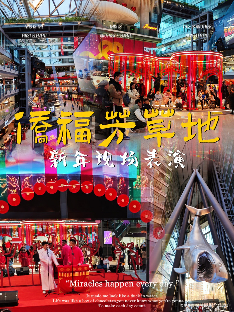 最新揭秘，2024新澳芳草地全方位資料詳解，揭秘2024新澳芳草地全方位資料，最新詳解