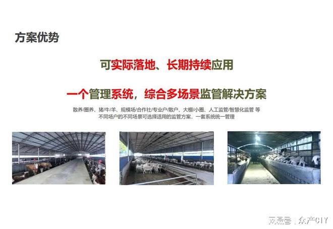 探索新澳芳草地，正版資料的免押之旅（2025年最新資訊），探索新澳芳草地，正版資料免押之旅（最新資訊）