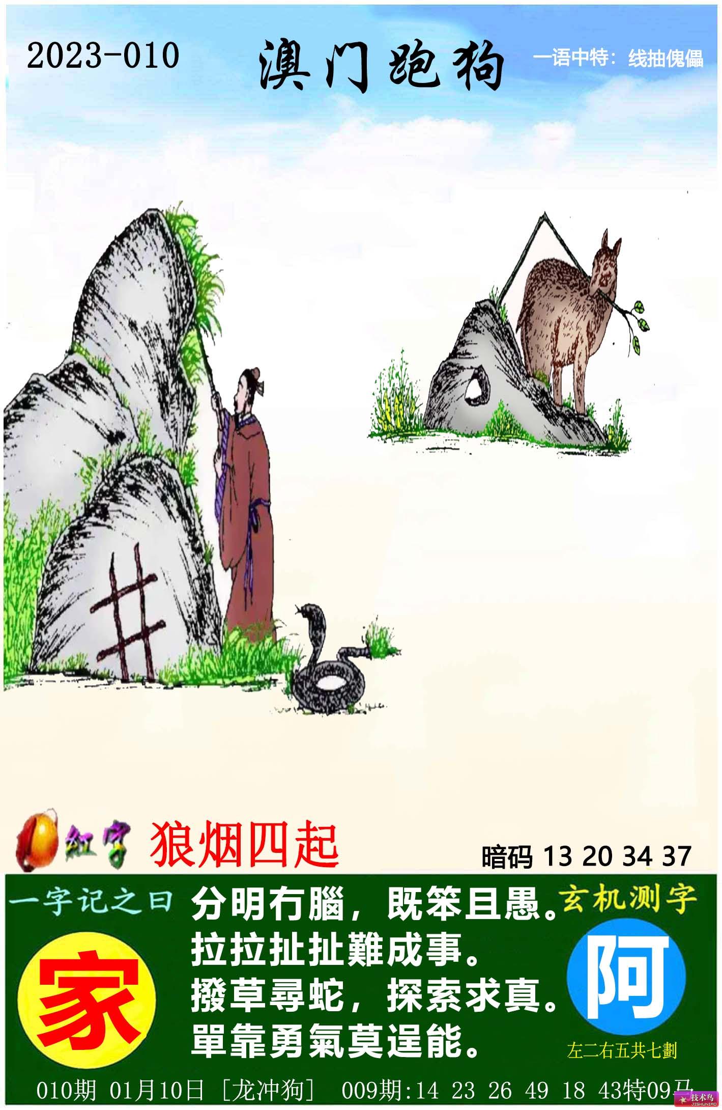 最新更新內(nèi)容，探索7777788888跑狗圖的奧秘，揭秘跑狗圖奧秘，最新更新探索7777788888的神秘面紗