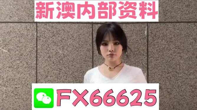 澳門資料大全正版資料查詢，探索澳門的文化與歷史深度之旅，澳門文化與歷史深度探索，正版資料大全及查詢指南