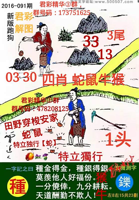 揭秘7777788888精準(zhǔn)新跑狗圖，全方位解讀其背后的秘密，揭秘新跑狗圖7777788888，全方位解讀背后的真相與秘密