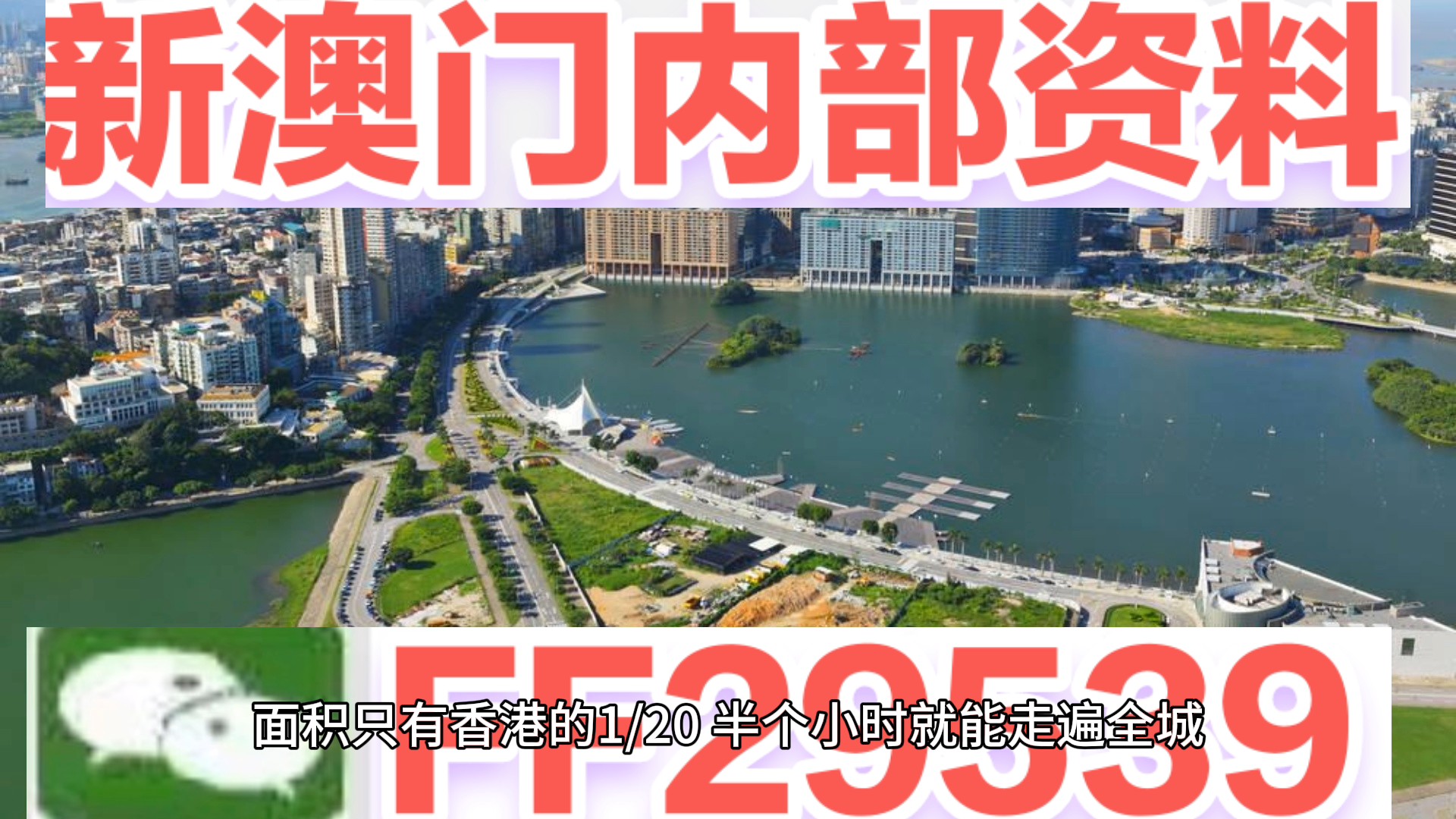 澳門彩票預(yù)測(cè)與探索，新澳門04期今晚資料分析（2025年），澳門彩票預(yù)測(cè)與探索，新澳門第04期今晚資料深度分析（2025年展望）