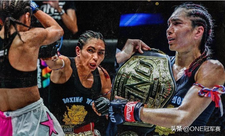 王中王免費公開精準大全——全方位解析與指南，王中王全方位解析與指南——免費公開精準大全
