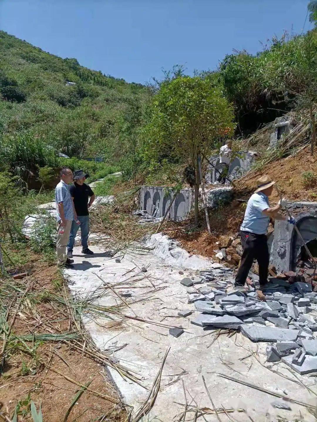 王中王一字一句拆一肖，深度解析背后的奧秘，王中王拆字揭秘，探尋背后奧秘揭曉生肖之謎