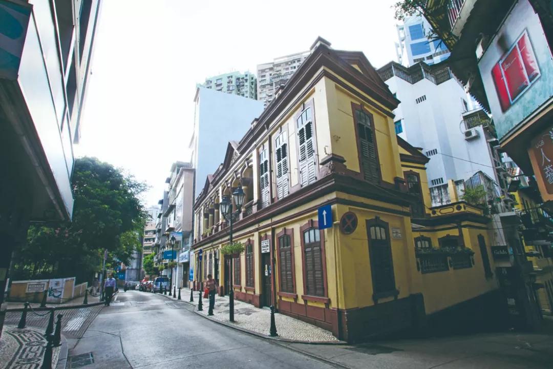 澳門(mén)三期內(nèi)必開(kāi)一肖——揭秘生肖彩票的奧秘，揭秘澳門(mén)生肖彩票三期必開(kāi)一肖的神秘面紗