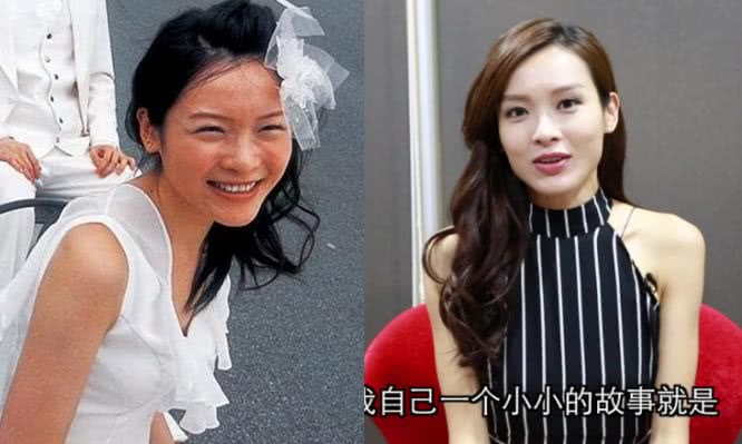 香港女明星名字大全圖，璀璨星光下的美麗傳奇，璀璨星光下的美麗傳奇，香港女明星名字大全圖