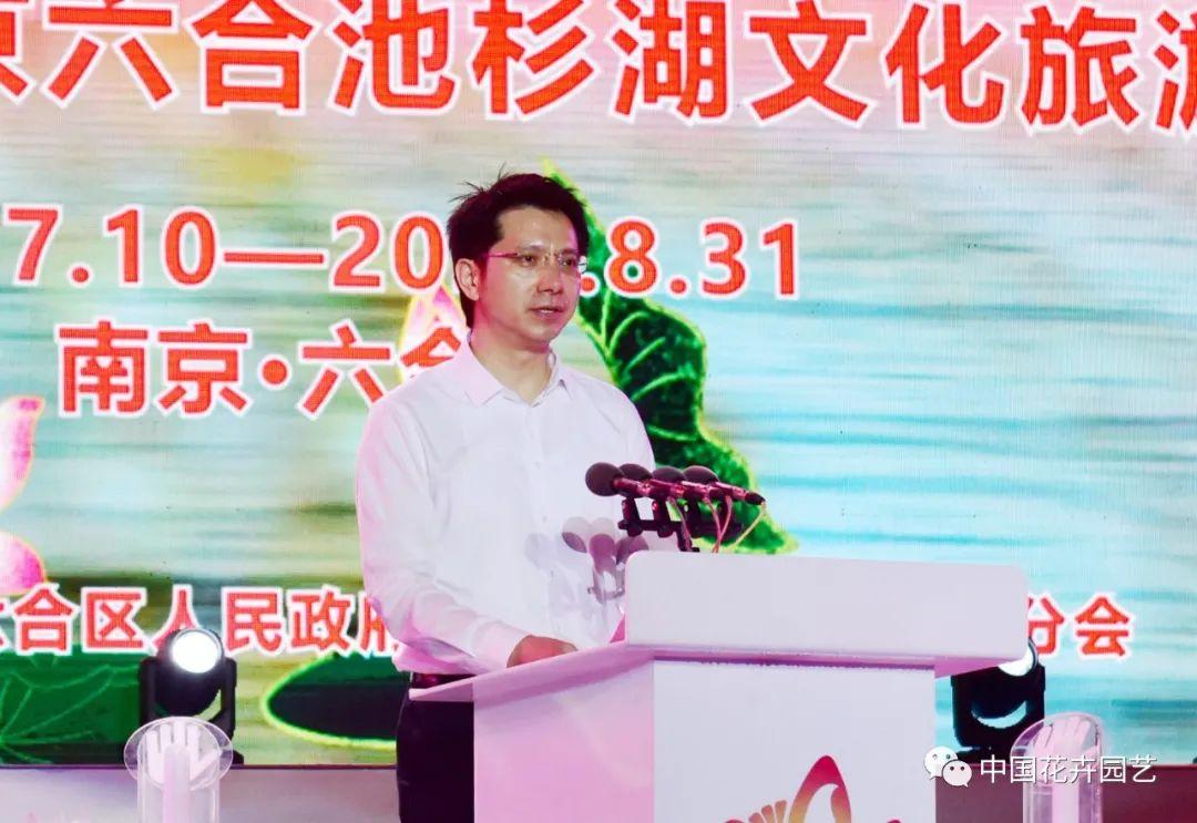 澳門六合之家，探索其獨特魅力與歷史背景，澳門六合之家，獨特魅力與歷史背景探索