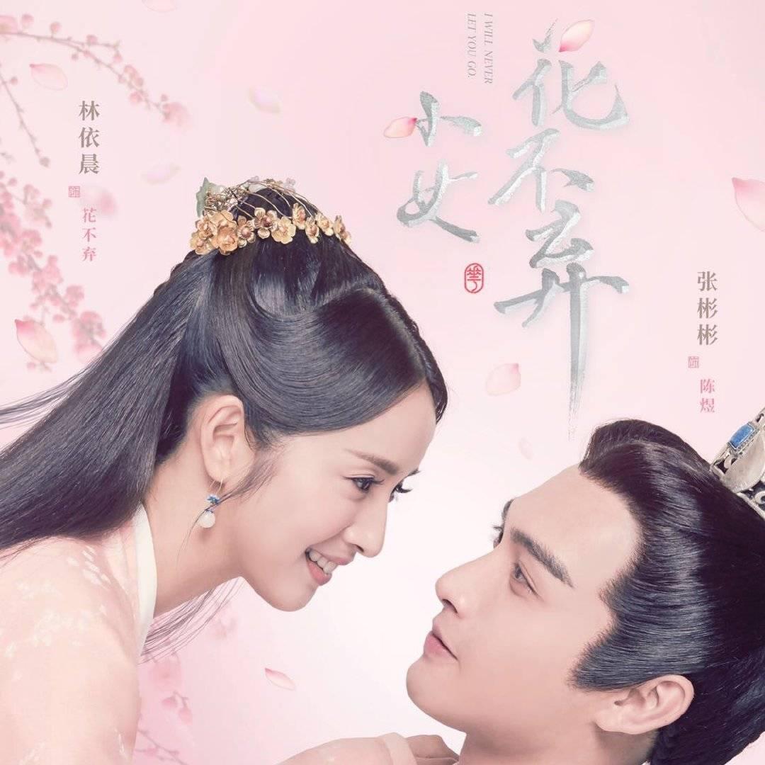 臺灣偶像劇女演員大全，璀璨星輝閃耀熒屏，臺灣偶像劇女演員璀璨星輝閃耀熒屏風采全覽