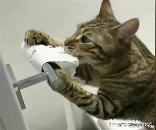 腹瀉拉稀水是什么原因，全面解析常見(jiàn)原因與應(yīng)對(duì)之策，腹瀉拉稀水的原因及應(yīng)對(duì)之策全面解析