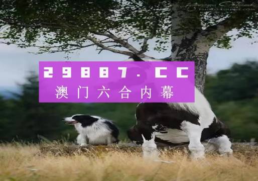 數(shù)字背后的故事/揭秘