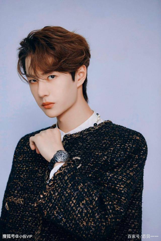 王中王一肖中特資料圖片——深度解析與SEO優(yōu)化文章，王中王一肖中特資料圖片的深度解析與SEO優(yōu)化探討