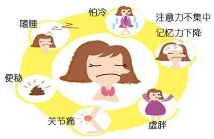 甲減的癥狀與危害，深入了解甲狀腺功能減退的影響，甲狀腺功能減退的影響及癥狀詳解，深入了解甲減的危害