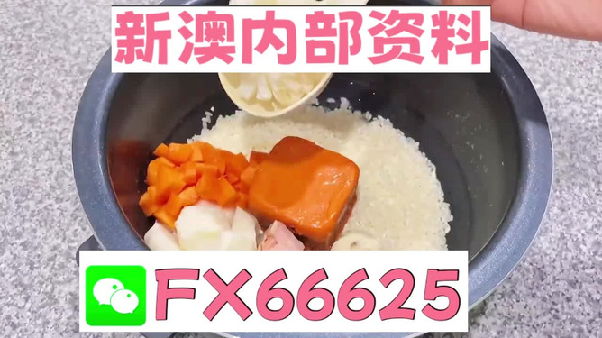 新奧精準(zhǔn)免費(fèi)資料提供，探索與實(shí)踐的完美結(jié)合，新奧精準(zhǔn)免費(fèi)資料探索，實(shí)踐與完美結(jié)合的探索之旅