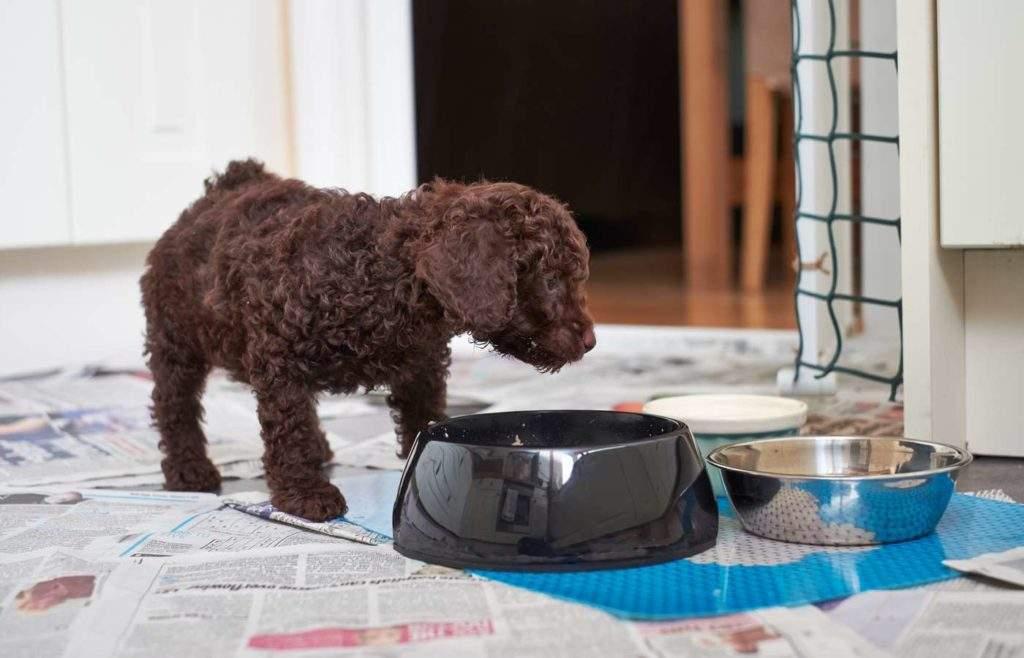 除口臭最好最有效的牙膏，選擇最佳口腔清潔伙伴，告別口臭尷尬，告別口臭尷尬，尋找最有效的口腔清潔伙伴，選擇最佳牙膏守護口腔健康