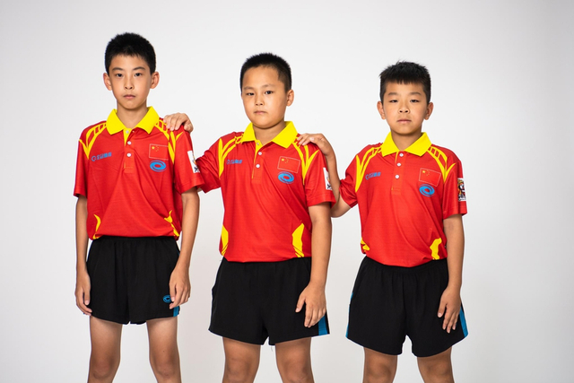 王中王白小姐四肖選一，揭秘背后的秘密與策略，揭秘王中王白小姐四肖選一背后的秘密與策略之道