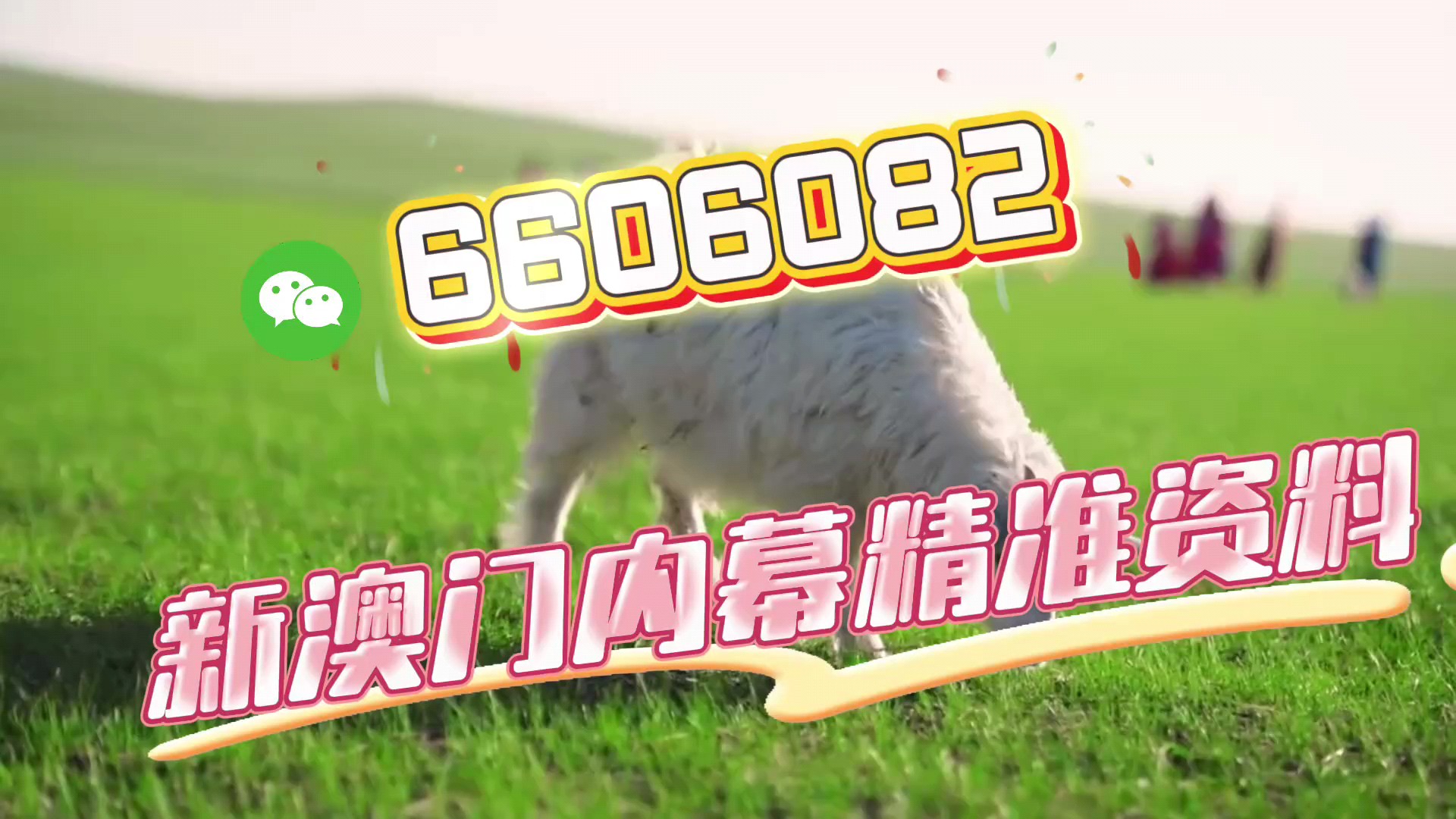 今晚澳門必開一肖一碼，揭秘生肖與彩票的神秘聯(lián)系，揭秘生肖與彩票的神秘聯(lián)系，今晚澳門必開一肖一碼揭曉答案