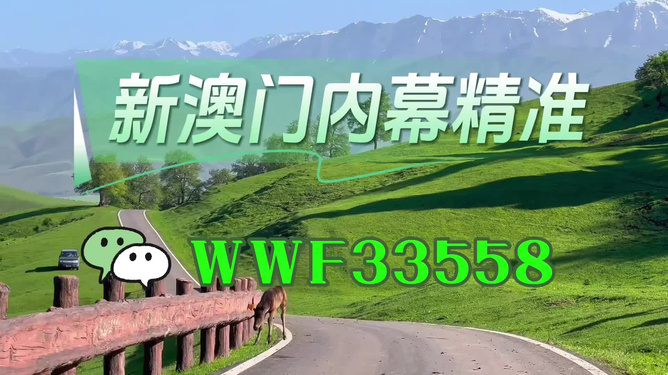 澳門精準(zhǔn)免費(fèi)大全，探索未來的預(yù)測與機(jī)遇（2025年展望），澳門未來展望，精準(zhǔn)預(yù)測與機(jī)遇探索（2025年）