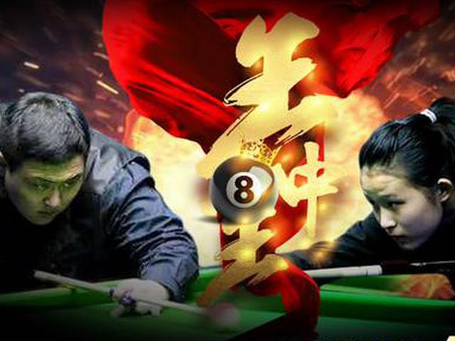 王中王一肖精準(zhǔn)資料大全，揭秘背后的秘密，王中王一肖資料揭秘，背后的秘密全解析