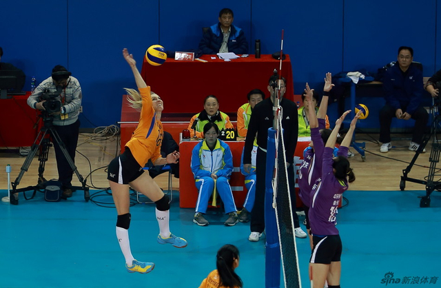 王中王三肖選一肖，深度解析與SEO策略，王中王三肖選一肖，深度解析與SEO策略全攻略