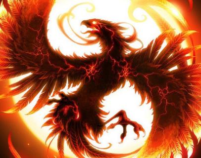 王中王精準(zhǔn)一肖中鳳凰，揭秘預(yù)測(cè)之謎，揭秘王中王精準(zhǔn)預(yù)測(cè)一肖中鳳凰的奧秘