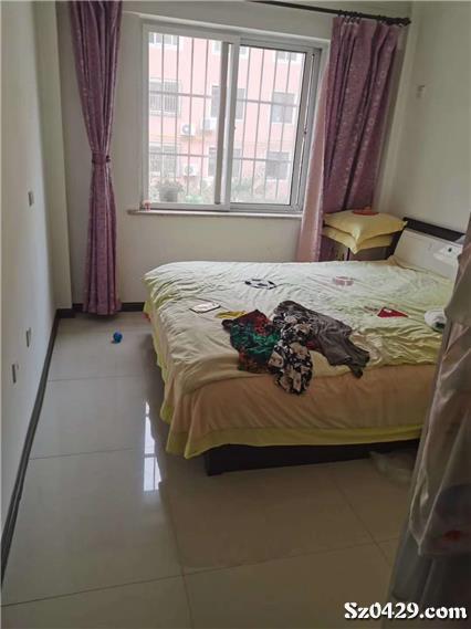 大皇王中王一肖，揭秘背后的秘密與策略，揭秘大皇王中王一肖背后的秘密與策略