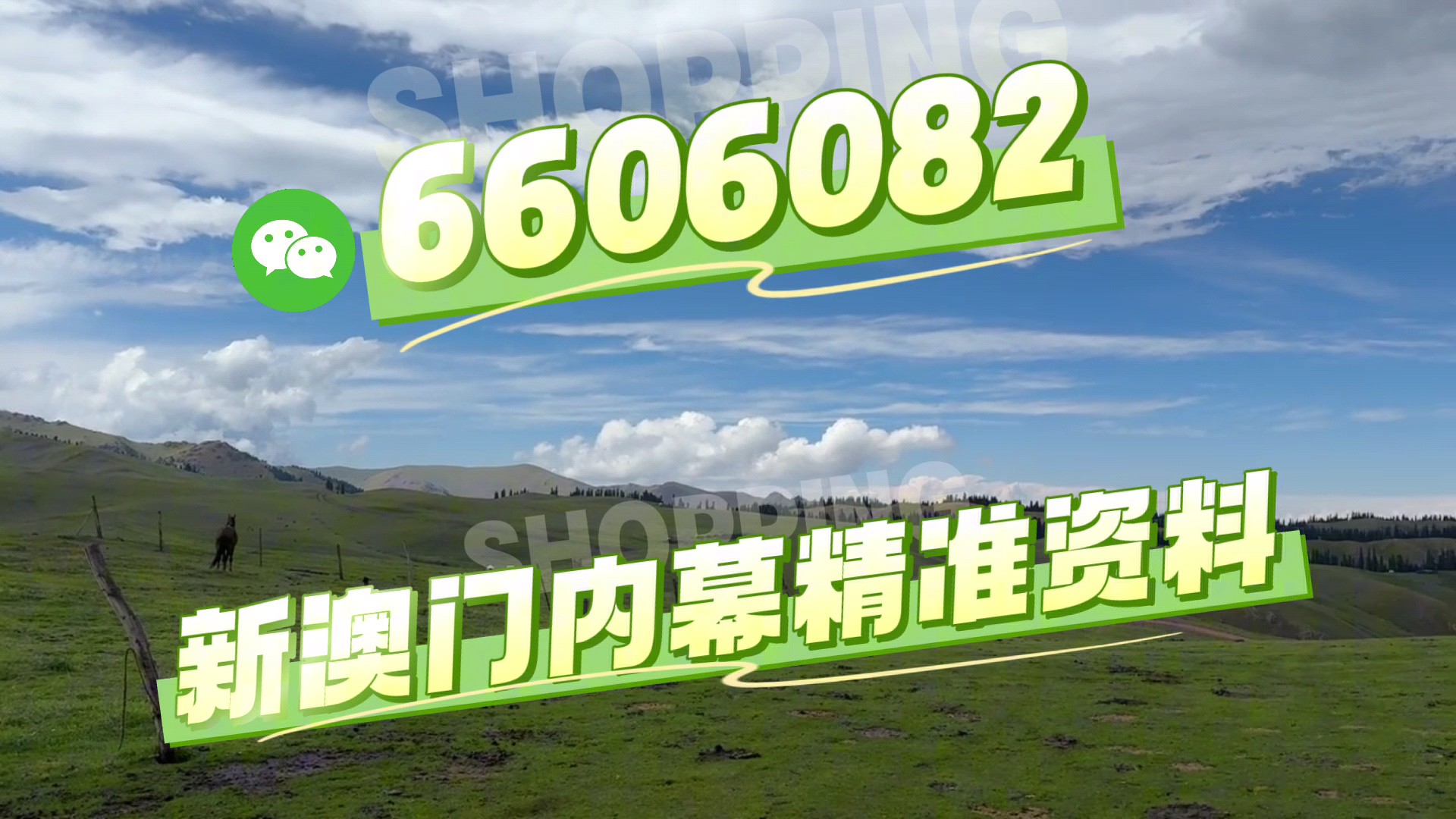 澳門今晚必開一肖一特，深度解析與預測，澳門今晚生肖特碼深度解析與預測，一肖一特必開趨勢探討