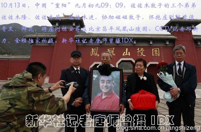 一肖出特王中王選，深度解析與SEO優(yōu)化策略，一肖出特王中王選，深度解析及SEO優(yōu)化策略全攻略