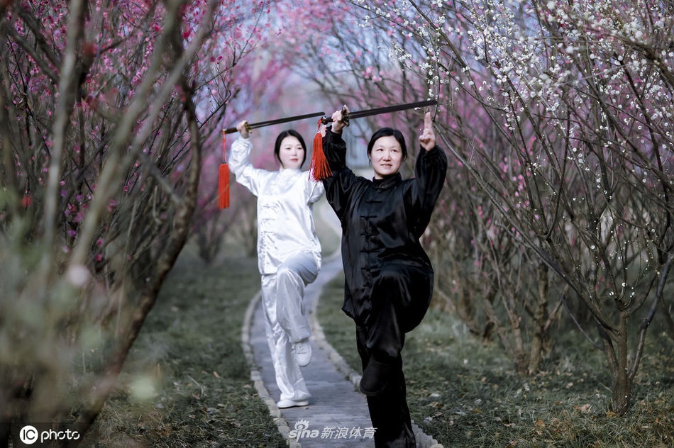 揭秘劉伯溫一期一肖期期中的奧秘與真相，劉伯溫一期一肖期奧秘與真相揭秘