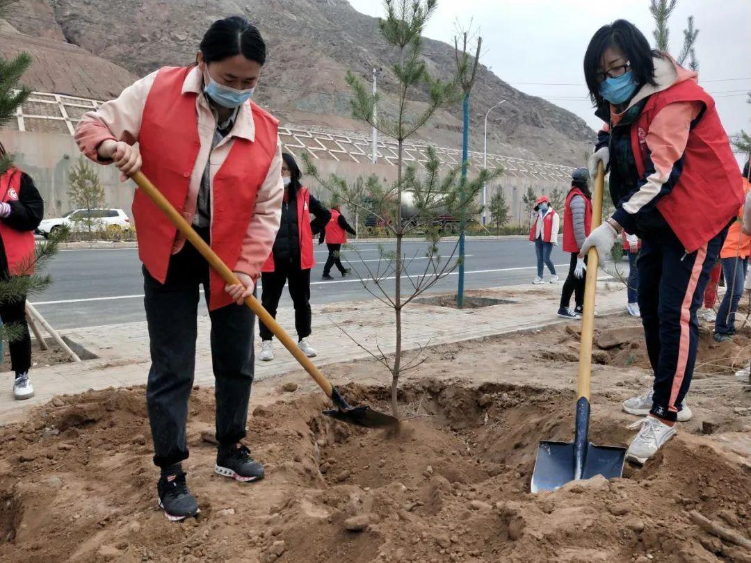 天下彩天天空彩資料免費(fèi)大全管家，探索與解析，天下彩天天空彩資料大全管家，深度探索與解析