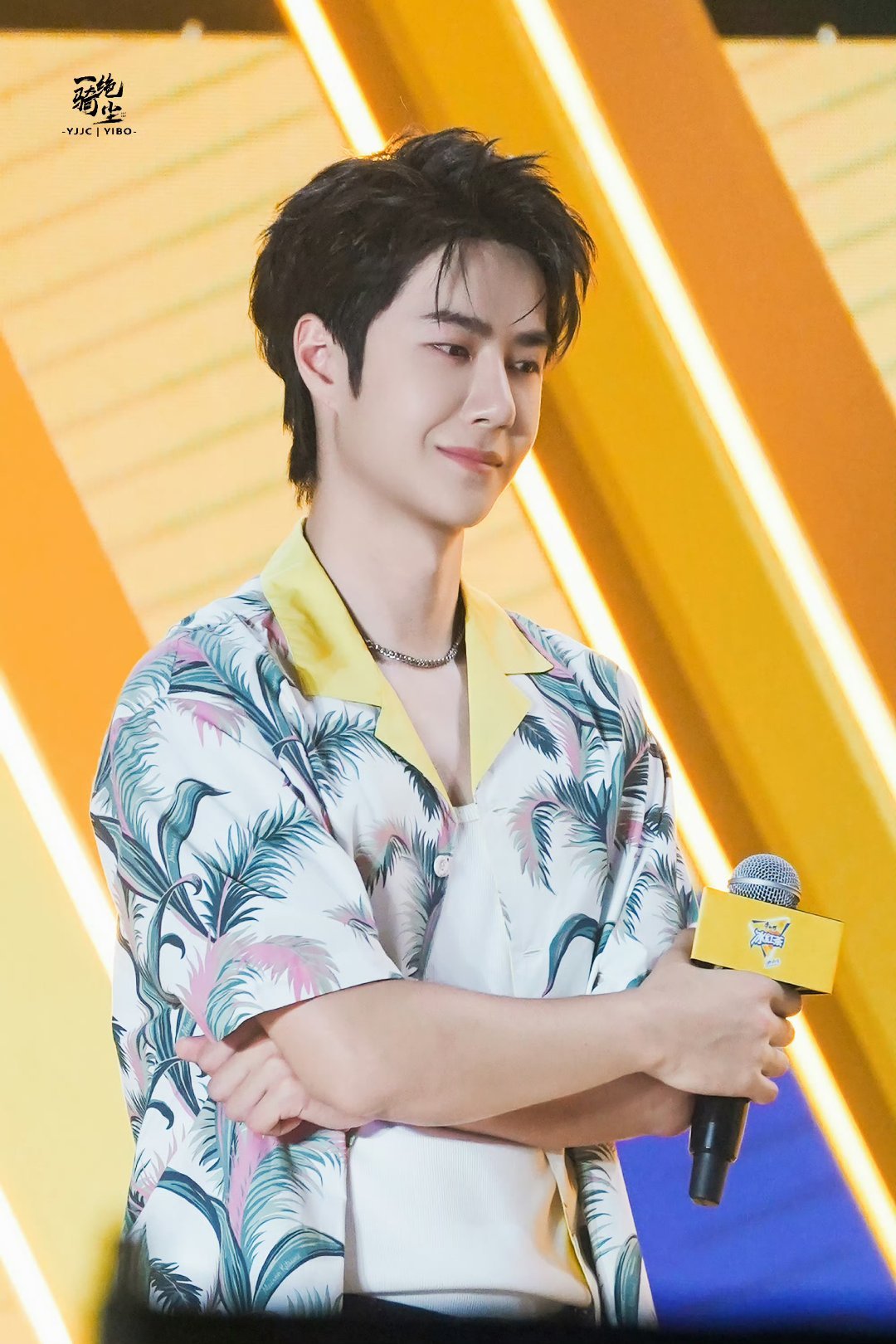 王中王一肖中特家婆，深度解讀背后的故事與奧秘，王中王一肖背后的故事與奧秘深度解讀