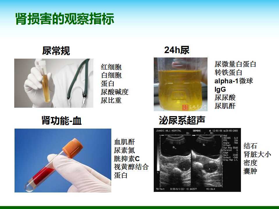 尿酸水平升高與腎臟健康，尿酸460是否意味著腎臟已經(jīng)受損？，尿酸水平升高與腎臟健康關系解析，尿酸460是否預示腎臟受損？