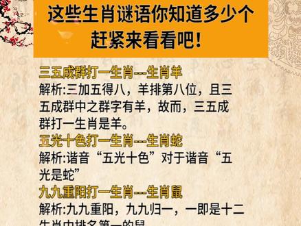謎語(yǔ)王中王打一生肖——揭秘背后的神秘故事與生肖之謎，揭秘生肖之謎，謎語(yǔ)王中王背后的神秘故事與生肖解密