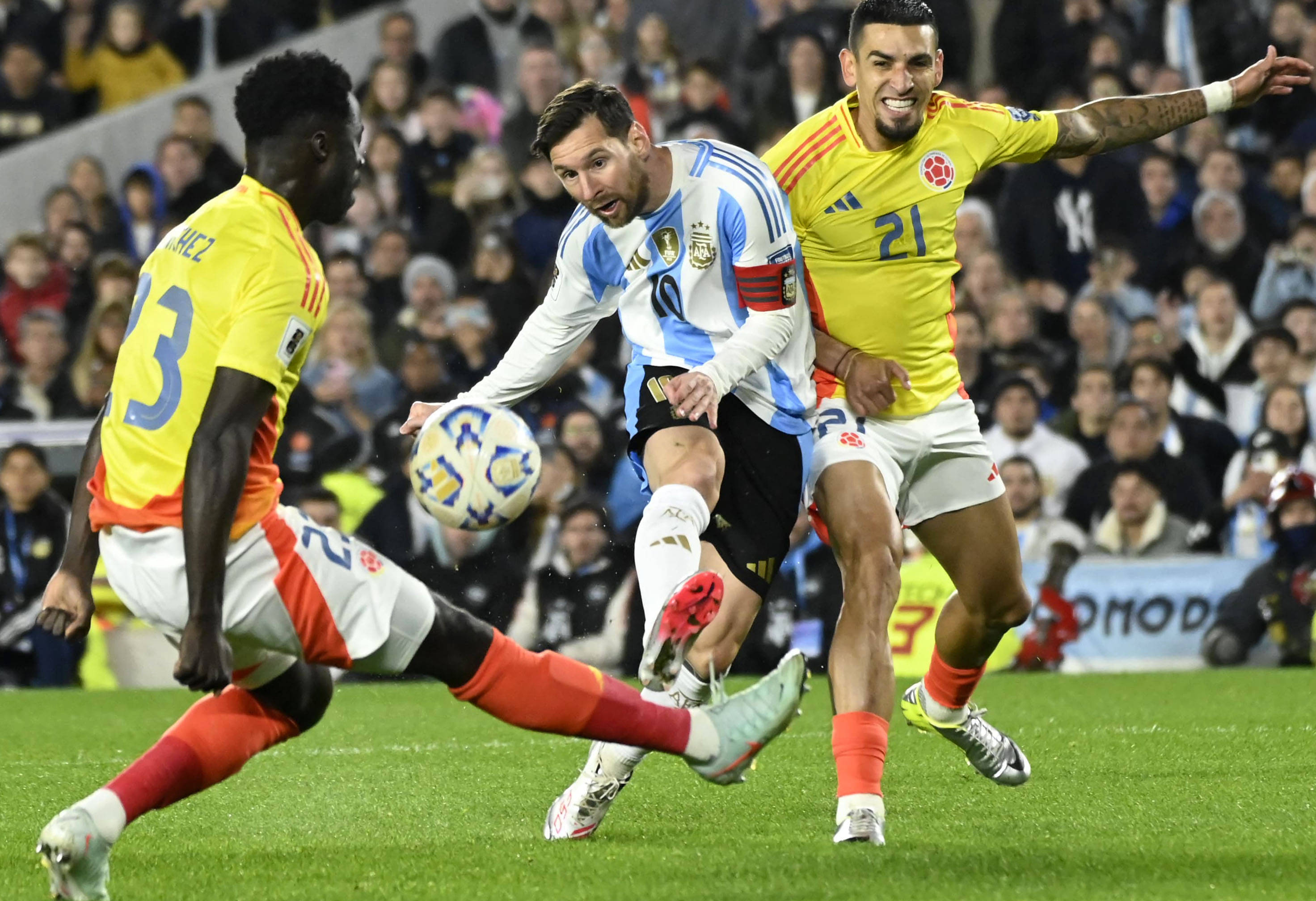 王中王077期一肖特種，深度解析與SEO優(yōu)化策略，王中王077期生肖特種深度解析與SEO優(yōu)化策略探討