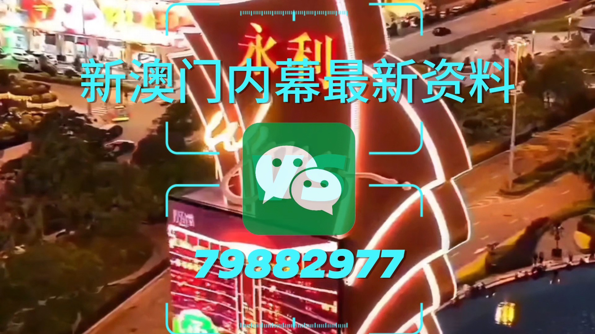 新澳門一肖一特一中，探索與解析，新澳門一肖一特一中，深度探索與解析