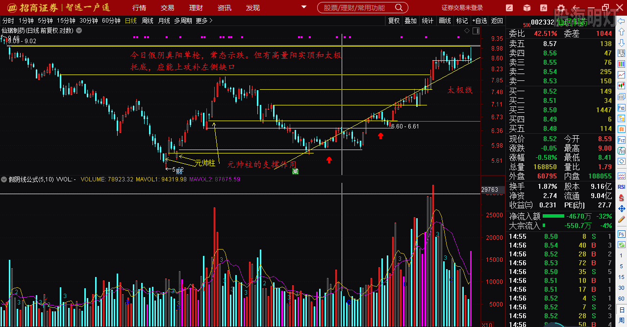 仙琚制藥股票（代碼，002332）深度解析，仙琚制藥股票深度解析（代碼，002332）
