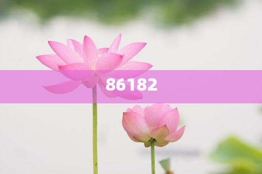 新奧精準(zhǔn)免費提供港澳彩——揭秘彩票行業(yè)的秘密武器，揭秘新奧精準(zhǔn)免費提供港澳彩的神秘面紗，彩票行業(yè)的秘密武器探究