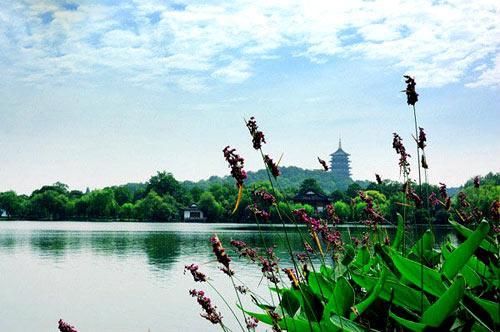 杭州市西湖風(fēng)景名勝區(qū)的魅力與SEO優(yōu)化策略，西湖風(fēng)景名勝區(qū)魅力揭秘與SEO優(yōu)化策略探索