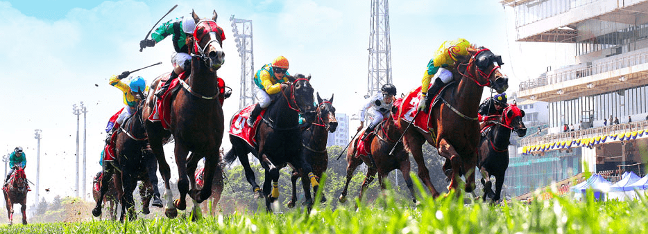 澳門賽馬會資料最準一碼，深度解析與最新資訊，澳門賽馬會資料解析，最新一碼與深度資訊匯總