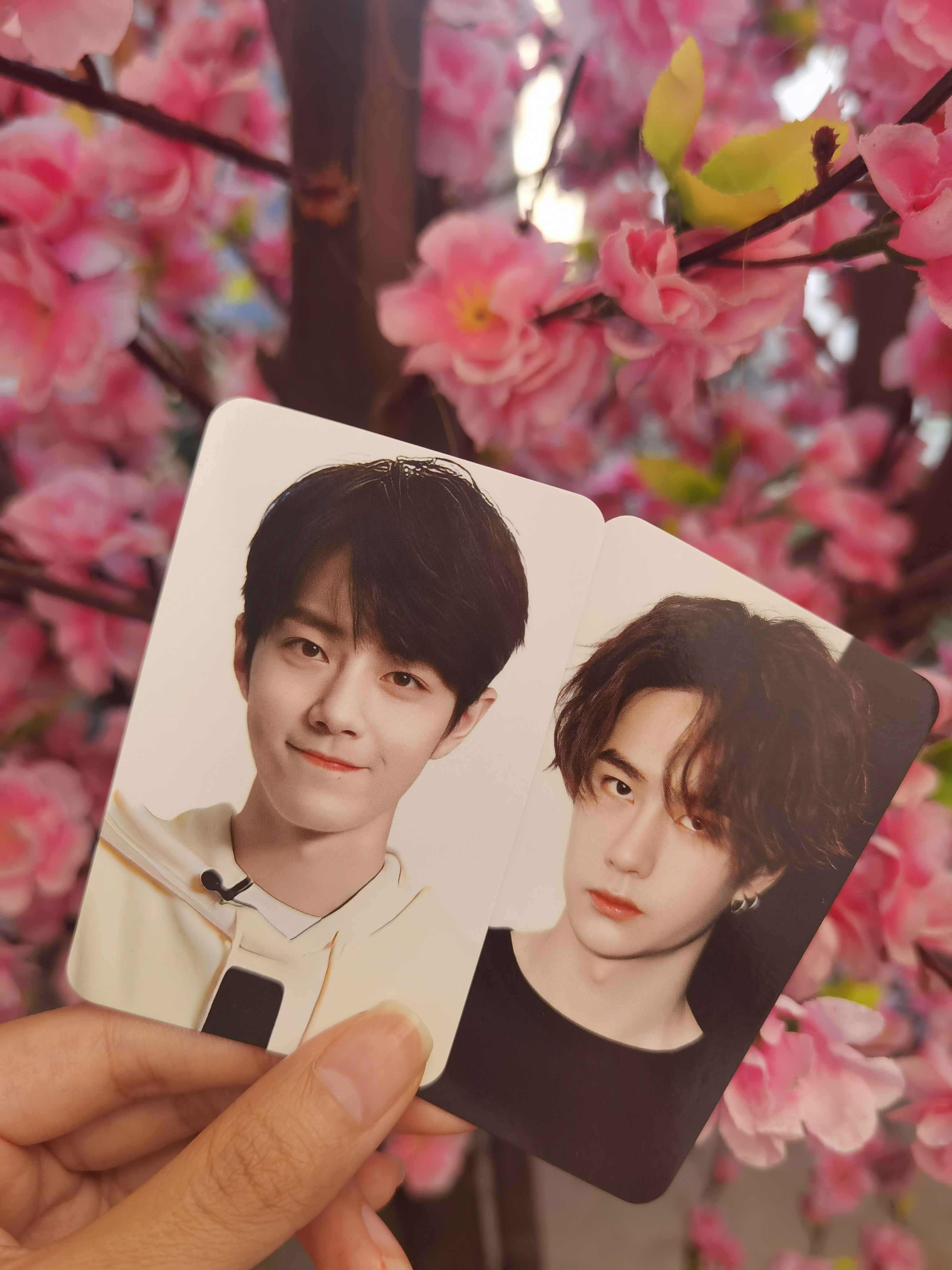 王中王一肖中特一肖精準預測——揭秘生肖運勢的秘密，揭秘生肖運勢，王中王一肖精準預測特選生肖運勢秘密